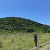 lenadobecka